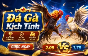 Ảnh giao diện Đá Gà yttci